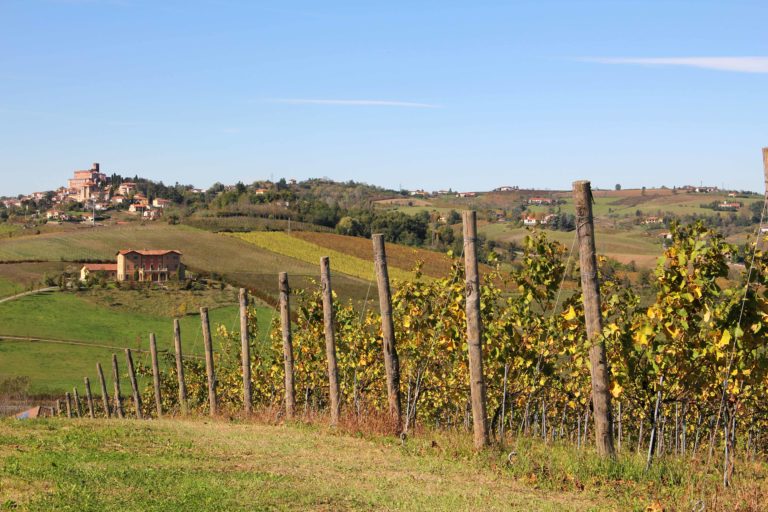 vigna faletta